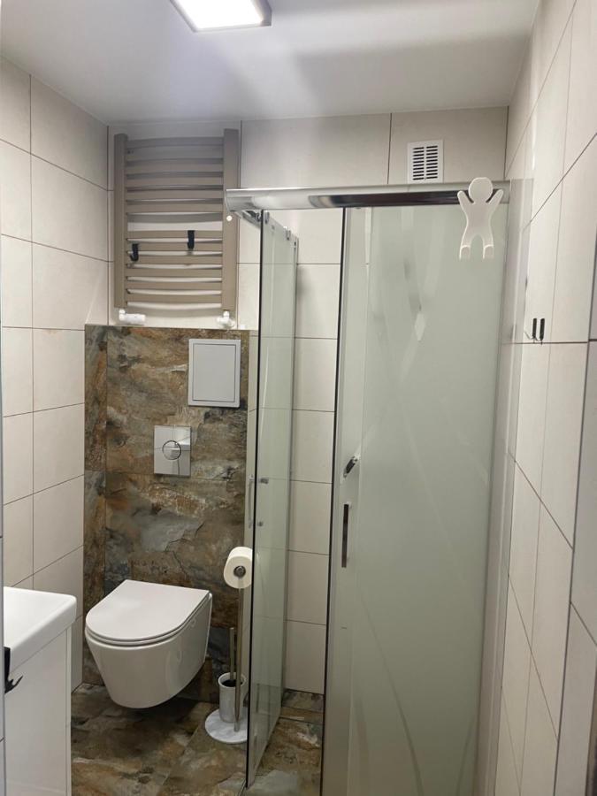 Apartament Lopuskiego 16 コウォブジェク エクステリア 写真