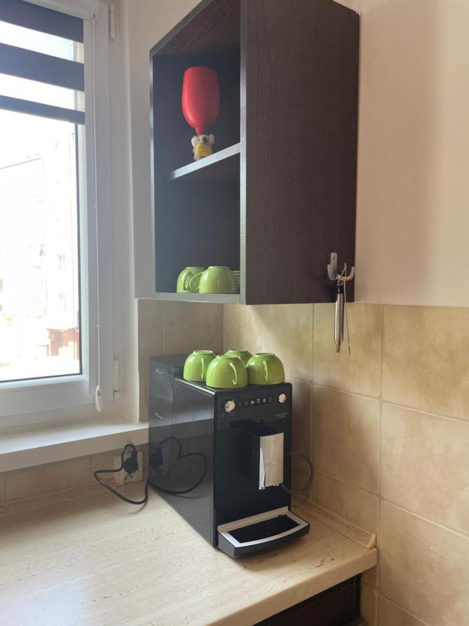 Apartament Lopuskiego 16 コウォブジェク エクステリア 写真