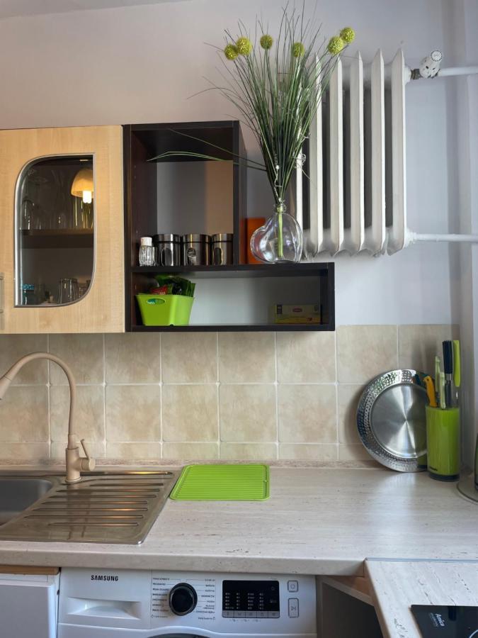Apartament Lopuskiego 16 コウォブジェク エクステリア 写真