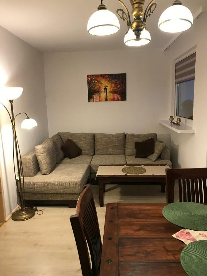 Apartament Lopuskiego 16 コウォブジェク エクステリア 写真